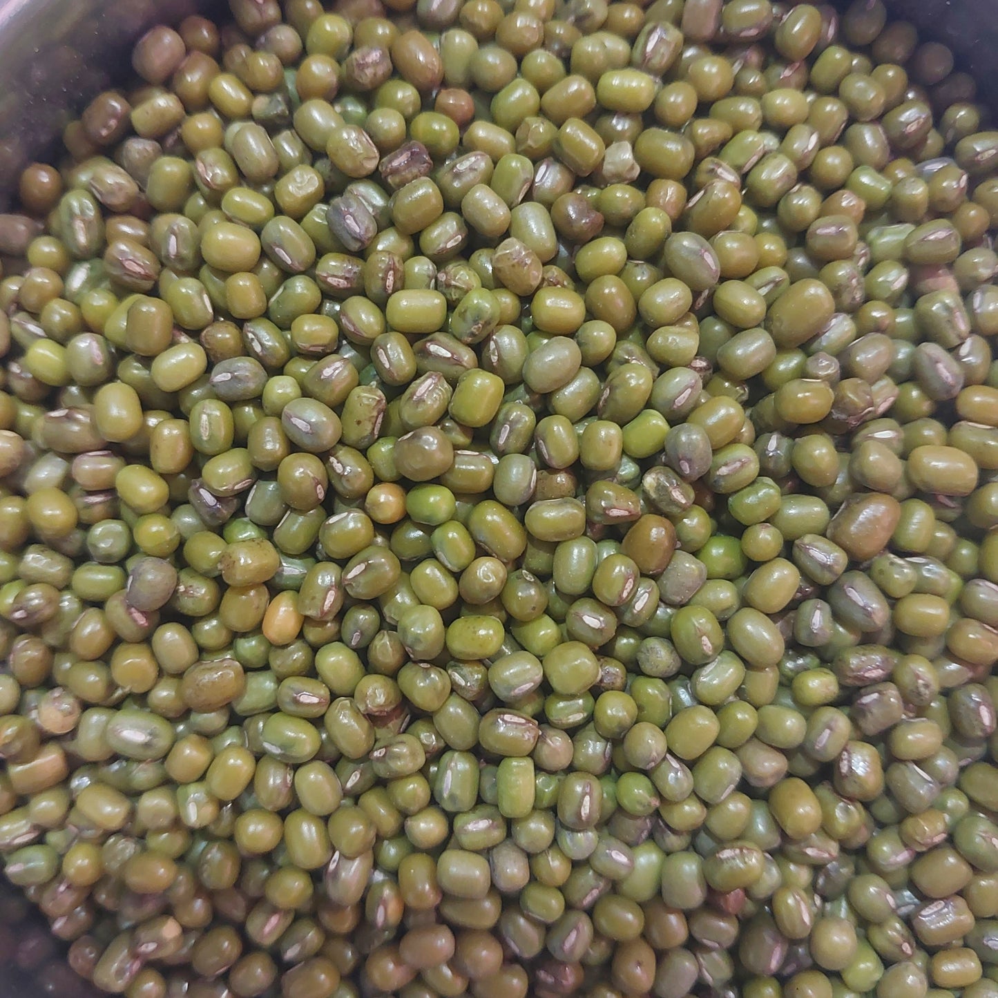 Moong Gota ( गोटा )