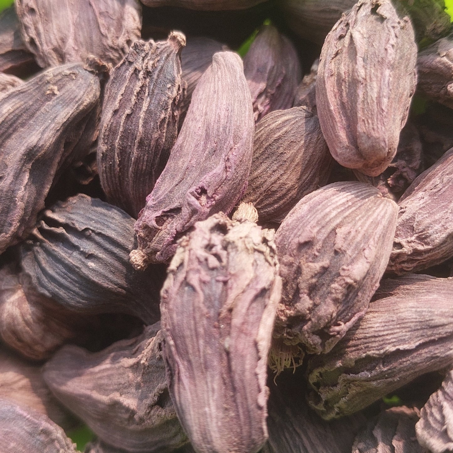 Garam Masala Gota Loose