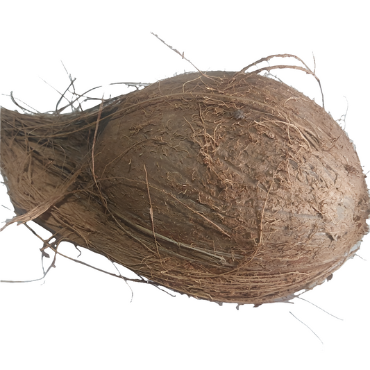 Coconut ( Pani Wala Nariyal)